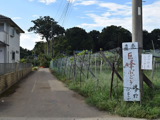 少し進んだらすぐに見えてくる1本目の電柱を右に曲がります。