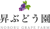 埼⽟県伊奈町の「昇ぶどう園」 | 波多野農園 巨峰 お取り寄せ 通販 ギフト